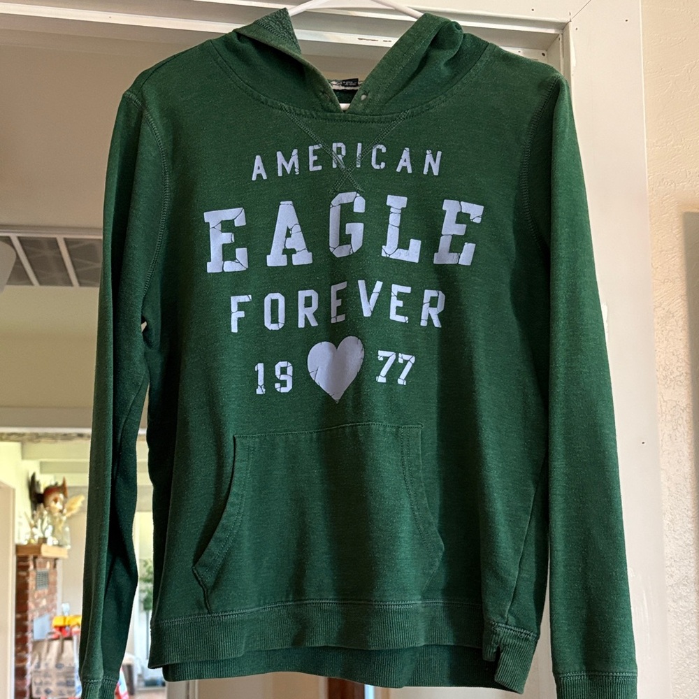 American Eagle Outfitters Forest Green  hoody